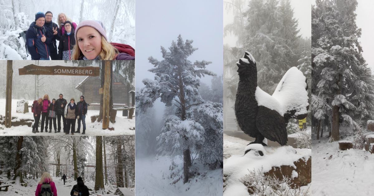 verschiedene Fotos von Wanderer im Schwarzwald Grünhütte bei Schnee